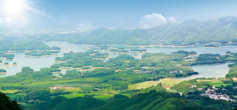 美国芦荟庄园 寻皇千岛湖生态园
